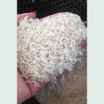 هاشمی اعلا کشت دوم (ده کیلویی)